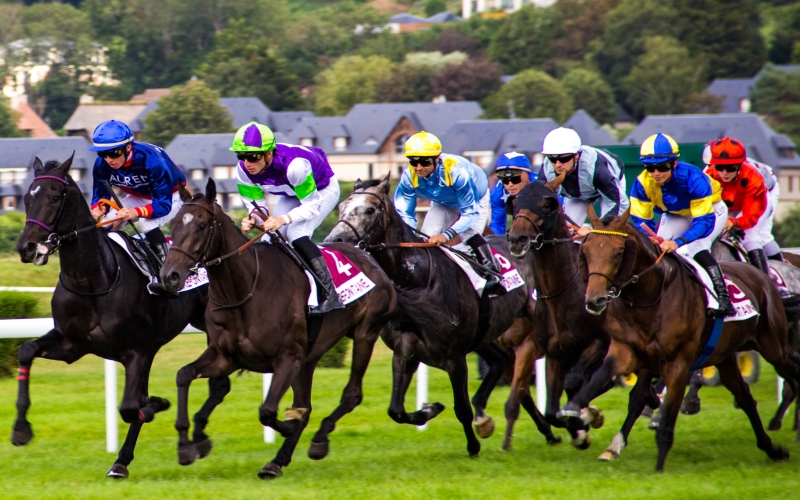 What are the Biggest Horse Racing Events Around the World?